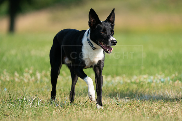 RielVisuals_20240727_094622_SJR07512