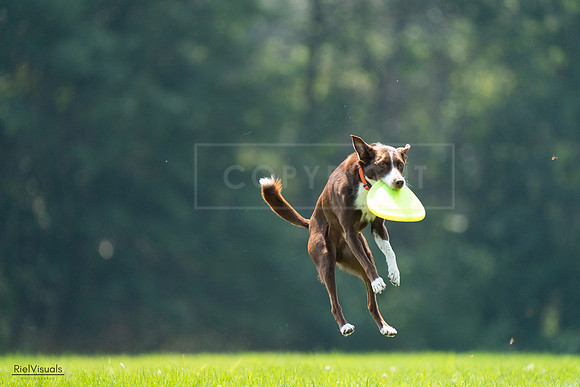 RielVisuals_20240727_121055_SJR04927