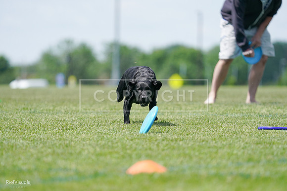 RielVisuals_20240525_121117_SJR09038