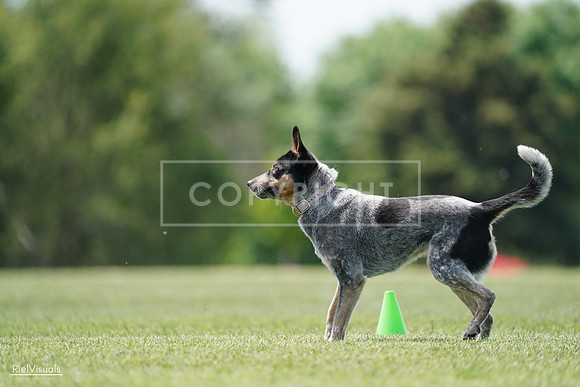 RielVisuals_20240525_122254_SJR09667