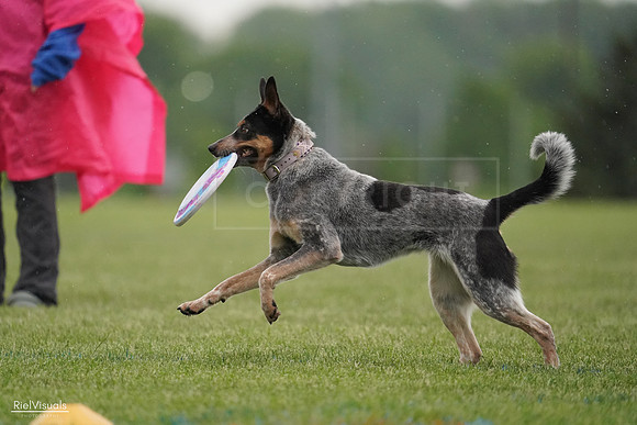 RielVisuals_20240526_091733_SJR09571