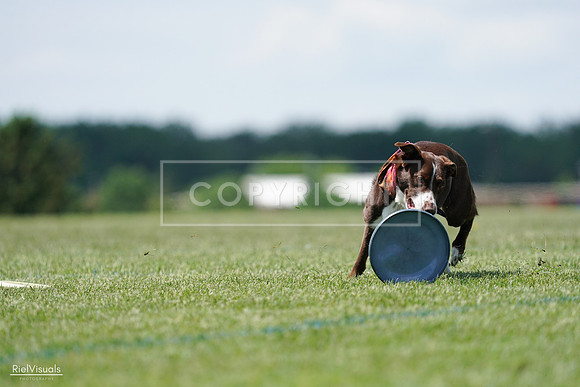 RielVisuals_20240525_121937_SJR09509