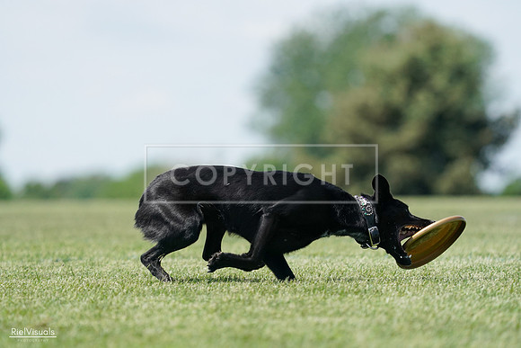 RielVisuals_20240525_122523_SJR09833