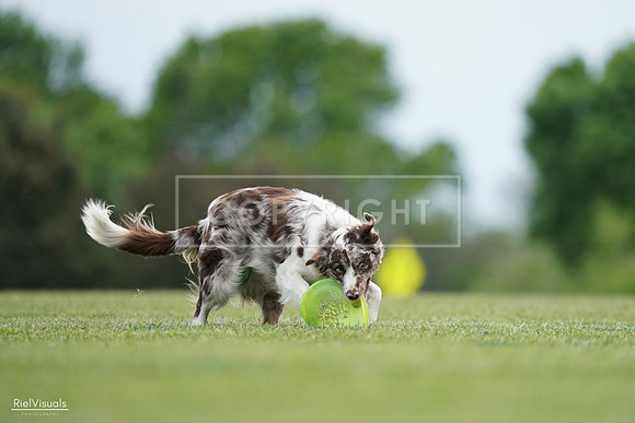 RielVisuals_20240525_161058_SJR03703