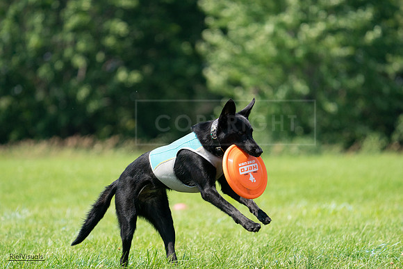 RielVisuals_20240728_114922_SJR02097