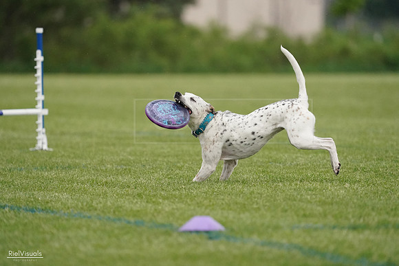 RielVisuals_20240526_090733_SJR09087