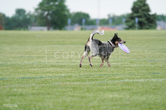 RielVisuals_20240525_170111_SJR05871
