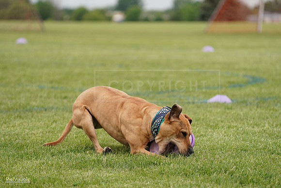 RielVisuals_20240526_135018_SJR09228