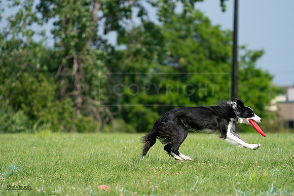 RielVisuals_20240728_095615_SJR06743