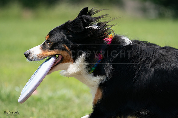 RielVisuals_20240728_133331_SJR06580