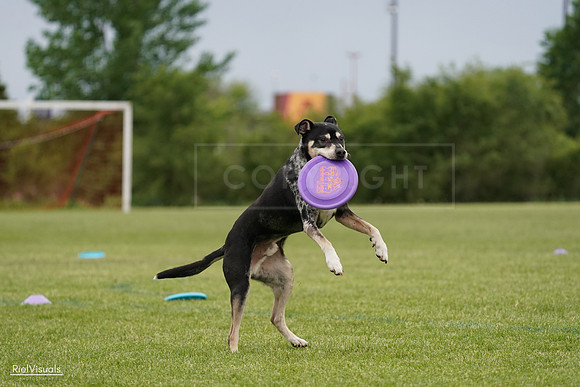 RielVisuals_20240526_134441_SJR08958