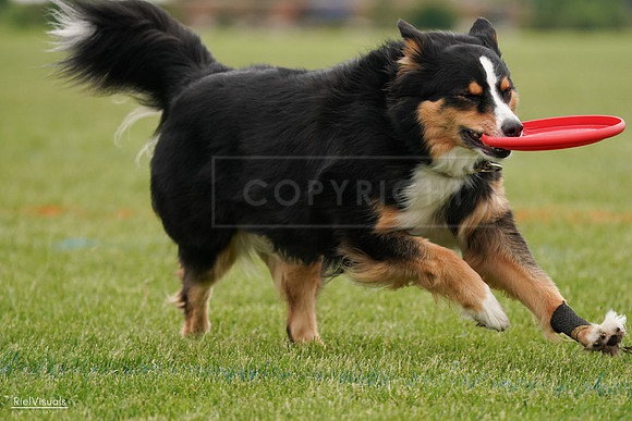 RielVisuals_20240526_135320_SJR09497