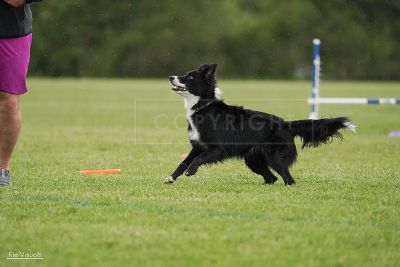 RielVisuals_20240526_095244_SJR01216