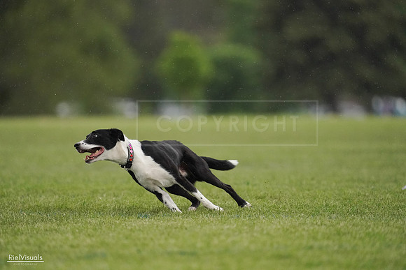 RielVisuals_20240526_093440_SJR00456