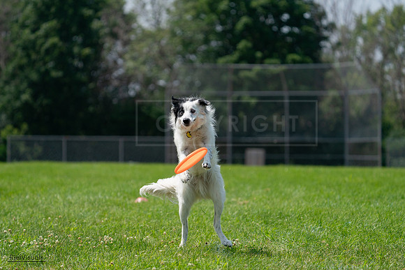 RielVisuals_20240728_121842_SJR03581