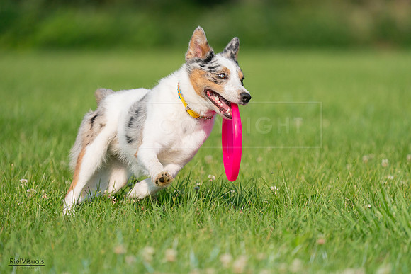 RielVisuals_20240727_092306_SJR06177