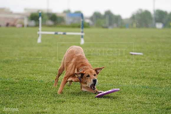 RielVisuals_20240526_093706_SJR00614