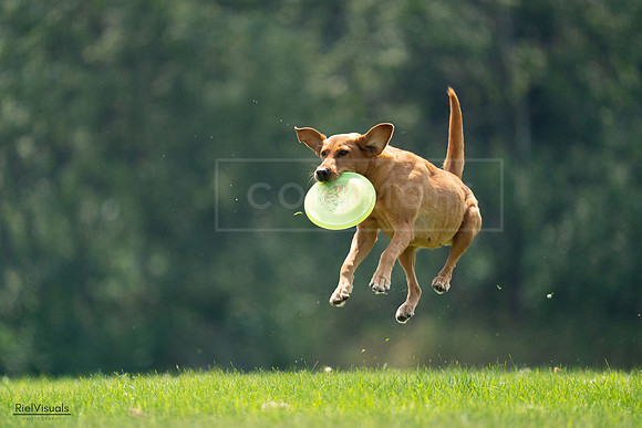 RielVisuals_20240727_122411_SJR05456