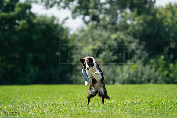 RielVisuals_20240728_120931_SJR03095
