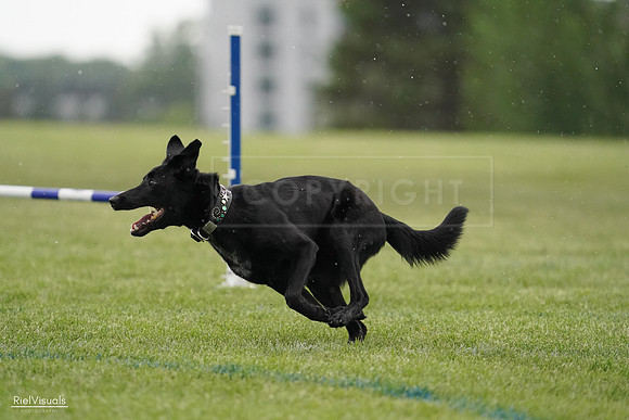 RielVisuals_20240526_092326_SJR09851