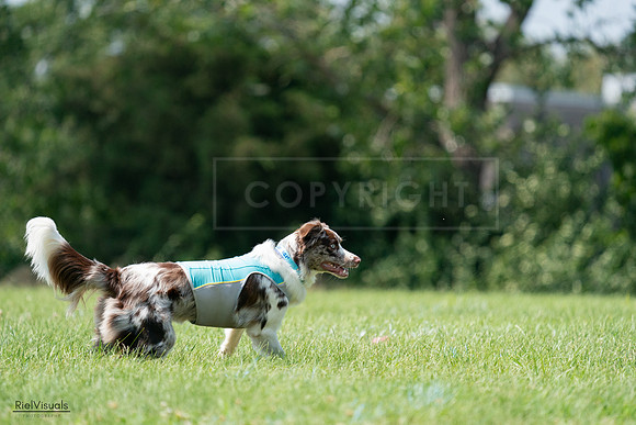 RielVisuals_20240728_142326_SJR08182