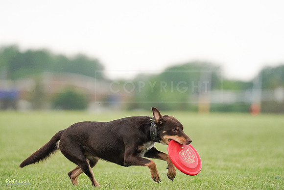RielVisuals_20240526_095707_SJR01467