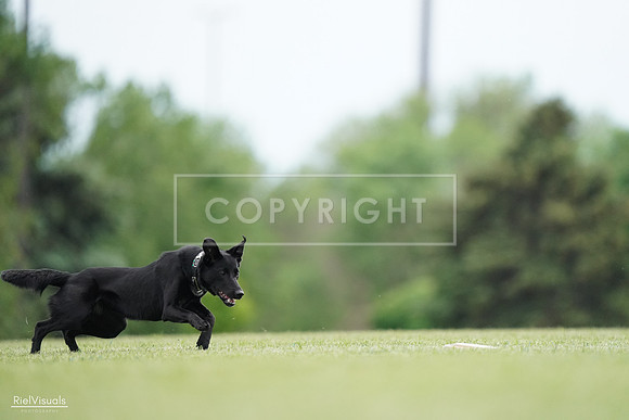 RielVisuals_20240525_160628_SJR03448