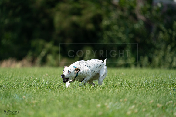 RielVisuals_20240727_134612_SJR08351