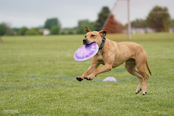RielVisuals_20240526_135025_SJR09241