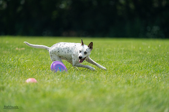 RielVisuals_20240728_140000_SJR07728