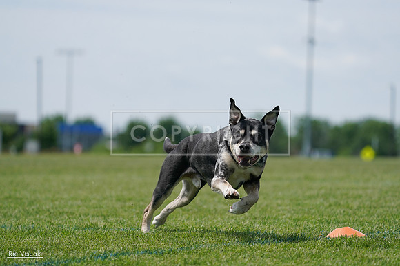 RielVisuals_20240525_123128_SJR00165