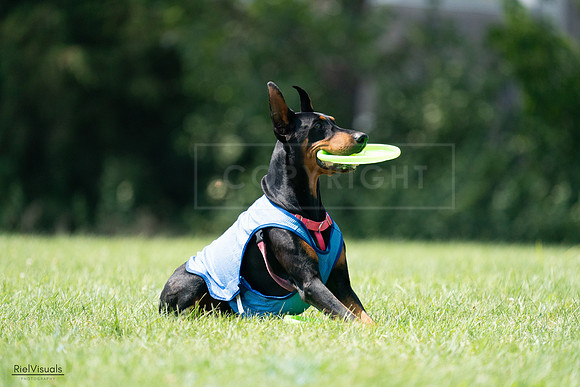 RielVisuals_20240728_151353_SJR00364