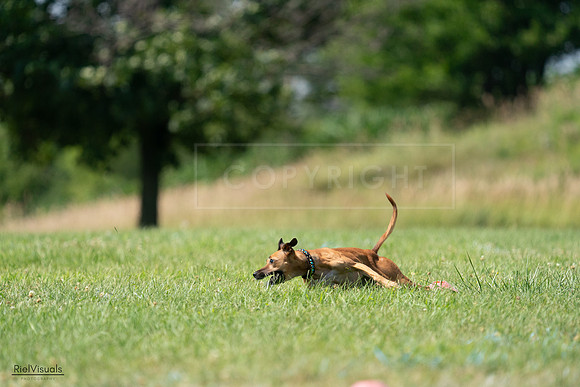 RielVisuals_20240728_150219_SJR09918