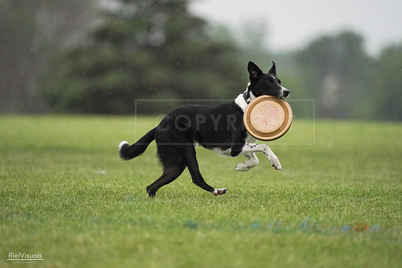 RielVisuals_20240527_094640_SJR08877
