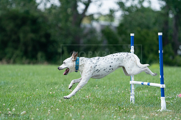 RielVisuals_20240727_145137_SJR01423