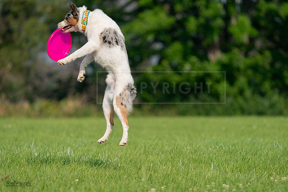 RielVisuals_20240727_092256_SJR06146