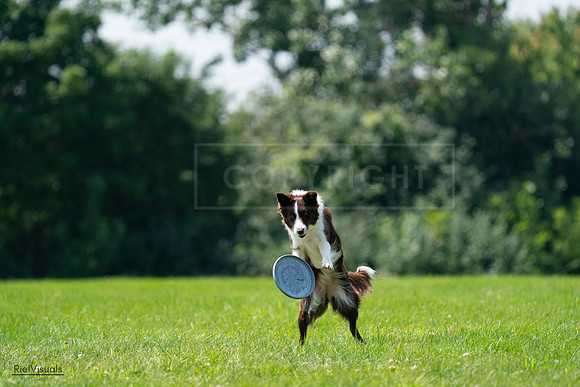 RielVisuals_20240728_120931_SJR03096