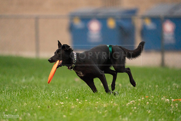 RielVisuals_20240722_195417_SJR02422