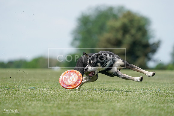 RielVisuals_20240525_123143_SJR00216
