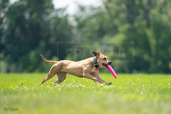 RielVisuals_20240727_131637_SJR07435