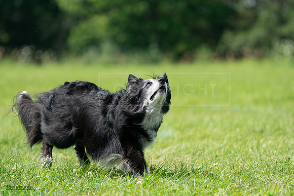 RielVisuals_20240728_122234_SJR03750