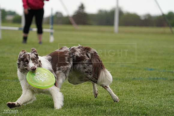 RielVisuals_20240526_091458_SJR09532
