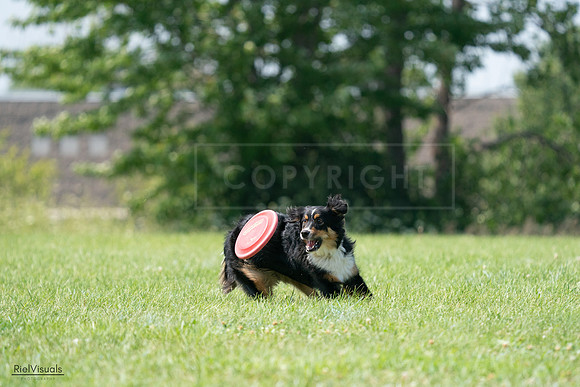 RielVisuals_20240728_143236_SJR08492