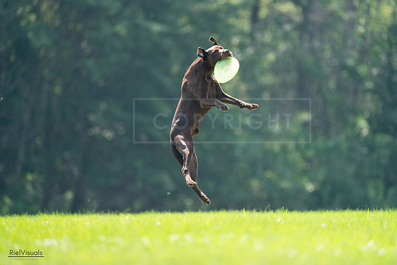 RielVisuals_20240727_123343_SJR05859