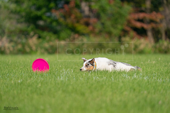 RielVisuals_20240727_092207_SJR05995