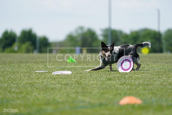 RielVisuals_20240525_122334_SJR09724