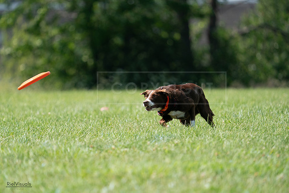 RielVisuals_20240728_151106_SJR00276