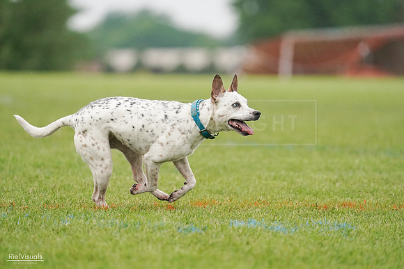 RielVisuals_20240527_105925_SJR02583