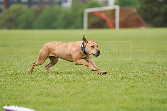 RielVisuals_20240527_111110_SJR03299