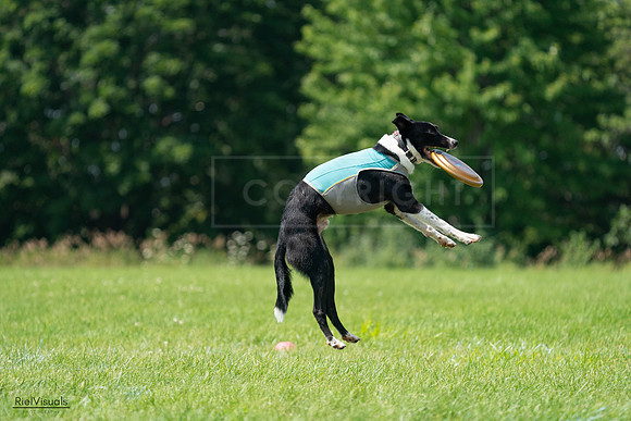RielVisuals_20240728_115750_SJR02554